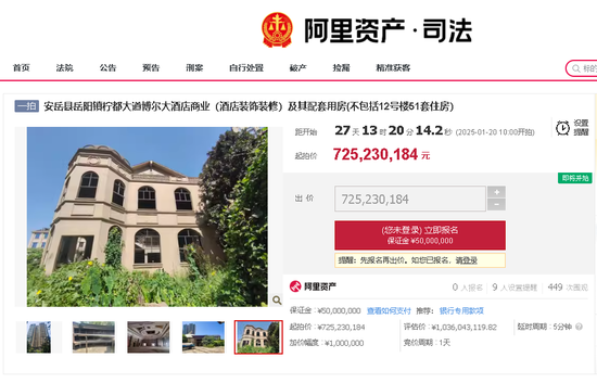 起拍价超7.2亿元 四川安岳一烂尾酒店被公开拍卖-1.png