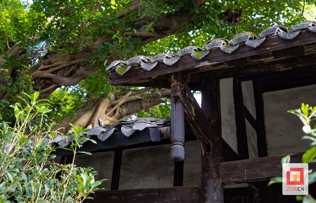盐都文物·镜像㉖｜荣县这处旧址 见证峥嵘岁月-9.jpg
