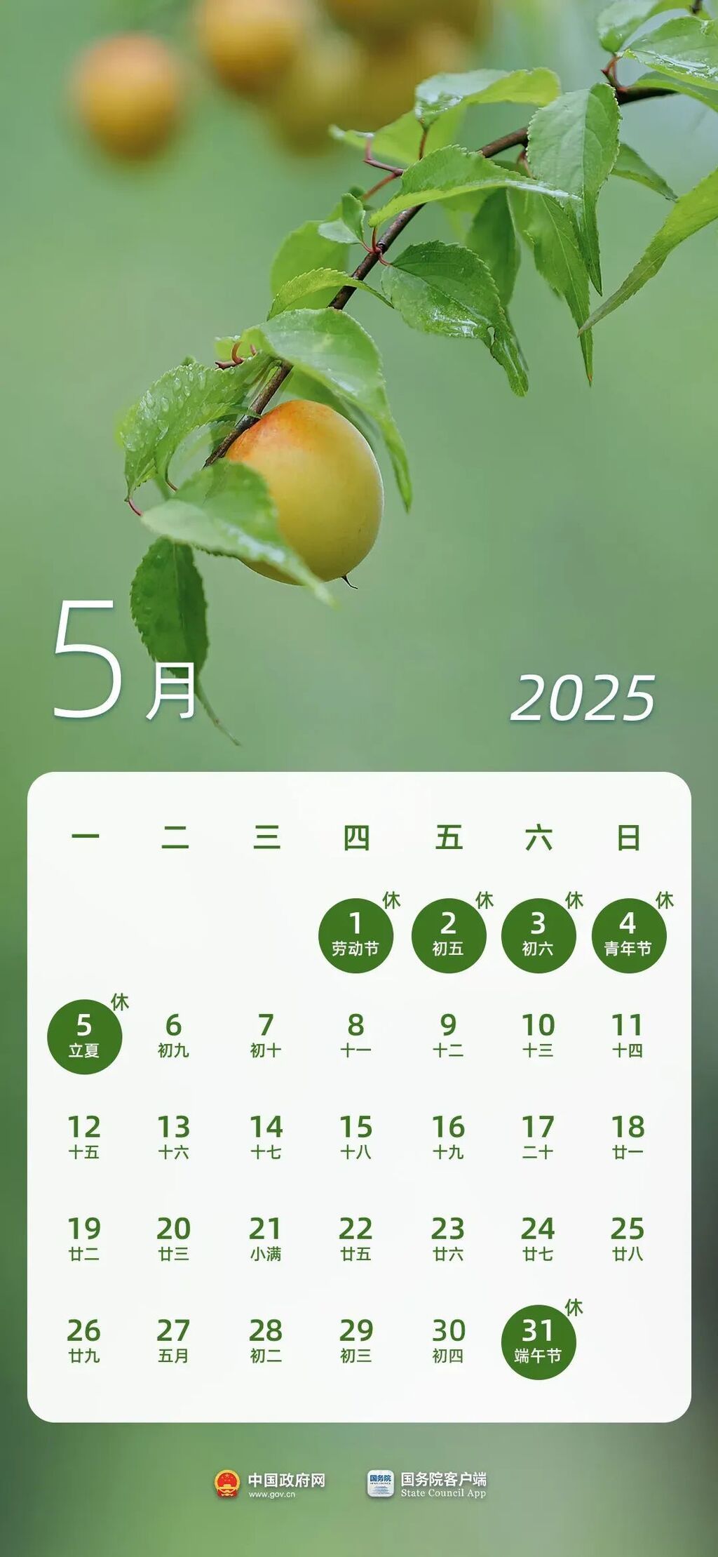 收藏！2025年放假日历-6.jpg