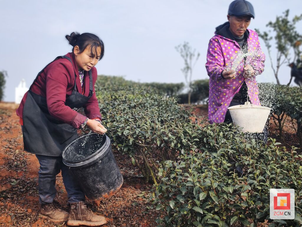 【光影周回望】新年第一周，自贡涌现这些民生热点！-20.jpg