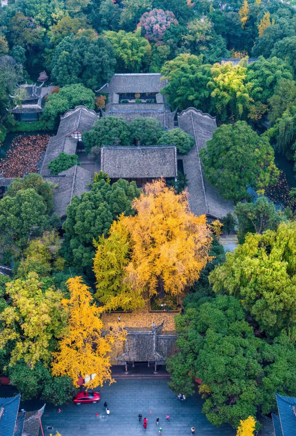 东坡先生，988岁生日快乐！-2.jpg