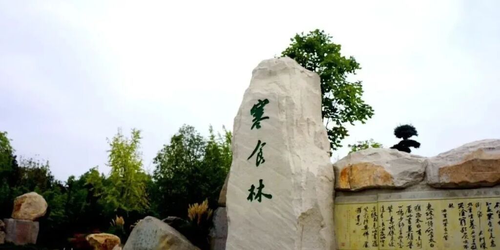 东坡先生，988岁生日快乐！-4.jpg