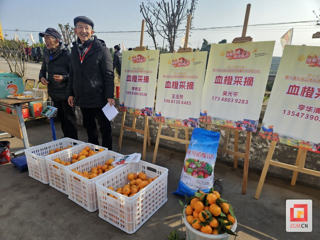 贡井区建设镇：血橙飘香 欢聚迎春-3.jpg