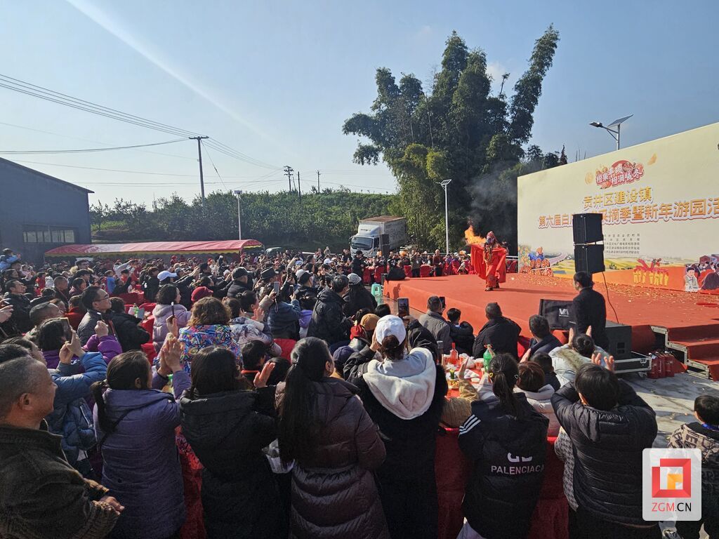 贡井区建设镇：血橙飘香 欢聚迎春-4.jpg