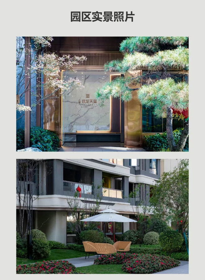贝蒙玖龙天玺，阳春意正浓 家书传温情| 3月项目家书-3.jpeg