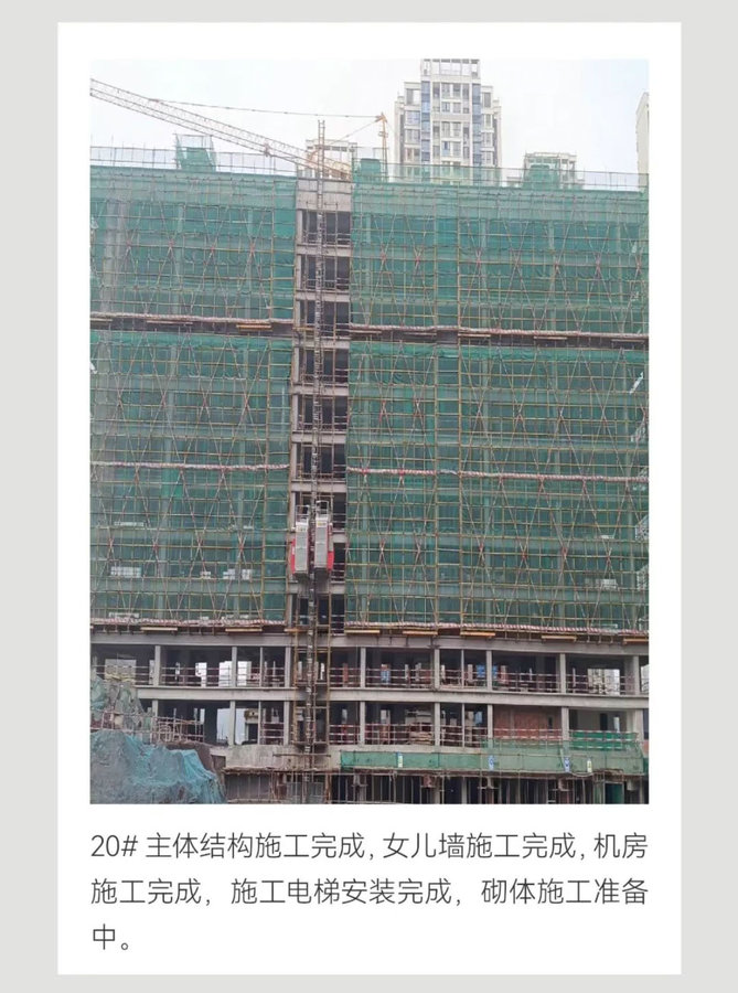 贝蒙玖龙天玺，阳春意正浓 家书传温情| 3月项目家书-11.jpeg
