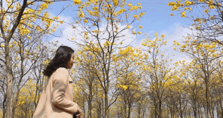 059e231f70e839f5009ef5a03e11daba.gif