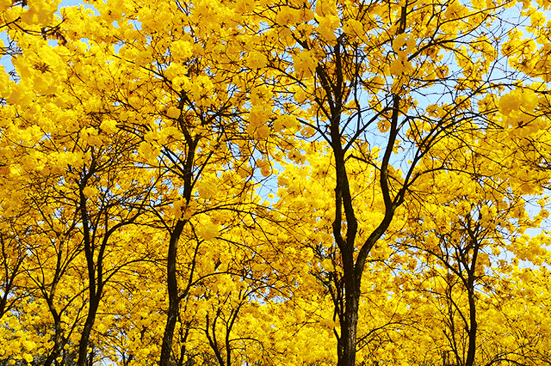 5580a2f0804e01dc60f57ae9d331c306.gif