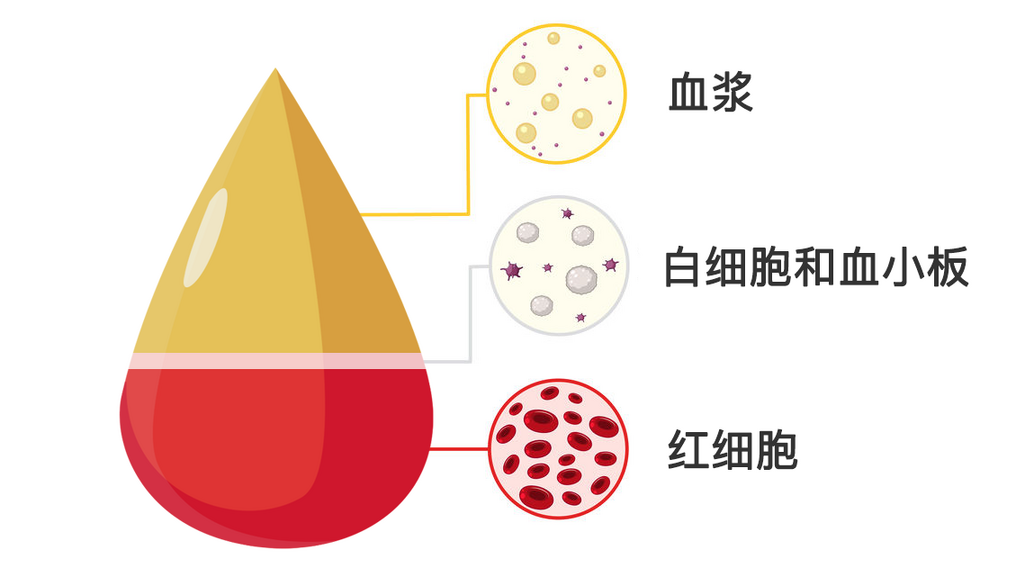 这份手册请常备！献一次血或许能救3个人-2.png
