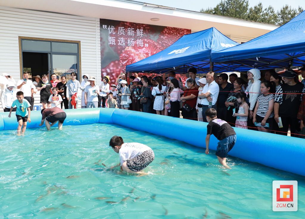 荣县度佳镇杨梅文旅季活动好吃又好耍！-4.jpg