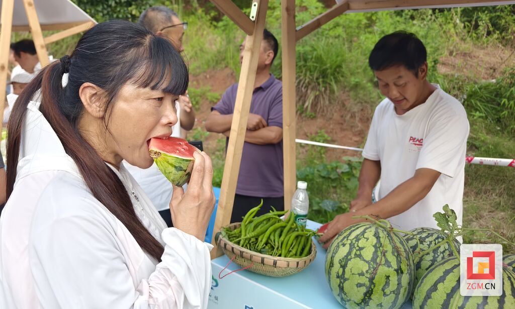 第四届富顺·兜山瓜果节引爆夏日激情-4.jpg