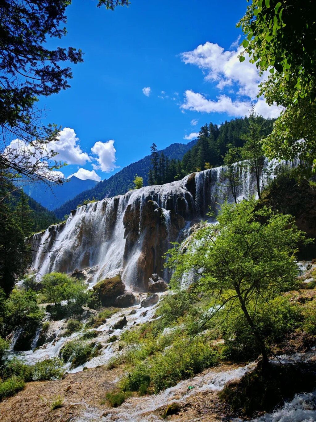 8月8日前门票售罄！九寨沟迎来避暑游高峰，创同期游客接待量历史新高-1.jpg