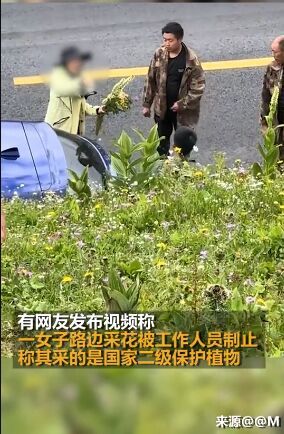 游客保护区里随手采花？警方提醒：小心招致牢狱之灾！-1.jpg