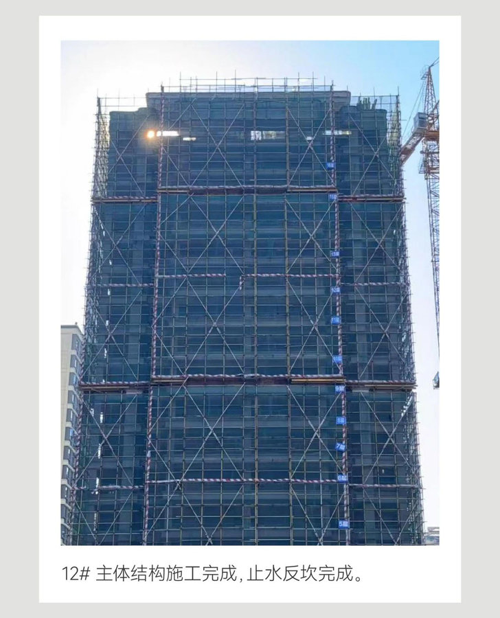紫薇开盛夏 家书寄新声| 贝蒙玖龙天玺项目施工进度-6.jpeg