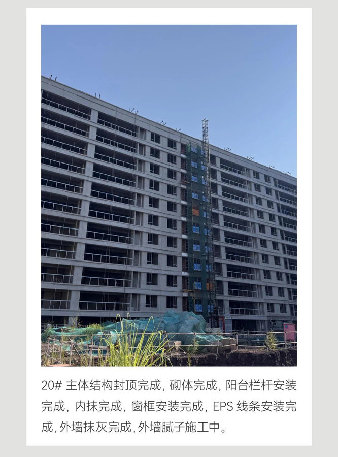 紫薇开盛夏 家书寄新声| 贝蒙玖龙天玺项目施工进度-8.jpeg