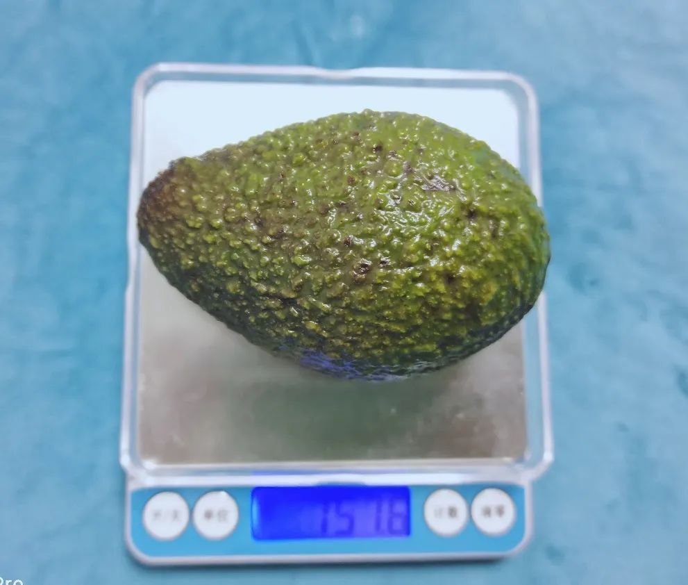 这种水果“油”很大 但能帮助女性瘦小腹减内脏脂肪-3.jpg