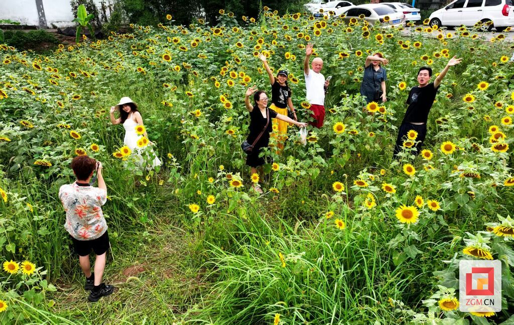 花田间的浪漫约会就等你来！桥头镇开启首届农旅融合消费季活动-2.jpg