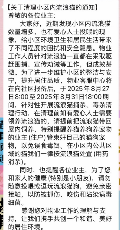 四川一小区物业发布“捕杀流浪猫”通知：爱心人士投喂导致猫数量增多-1.png