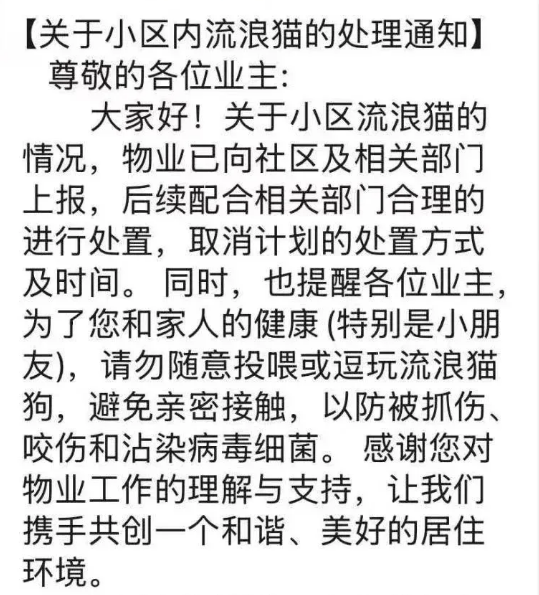 四川一小区物业发布“捕杀流浪猫”通知：爱心人士投喂导致猫数量增多-3.png