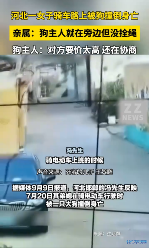 河北一女子骑车路上被狗撞倒身亡-1.jpg