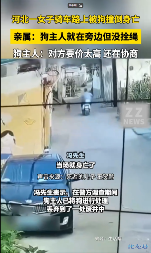 河北一女子骑车路上被狗撞倒身亡-3.jpg