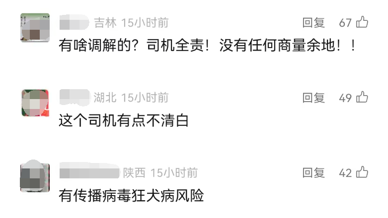 女子搭顺风车，遭车主宠物袭击，全身多处咬伤、撕伤，警方介入-4.png