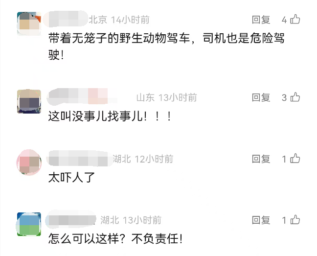 女子搭顺风车，遭车主宠物袭击，全身多处咬伤、撕伤，警方介入-5.png