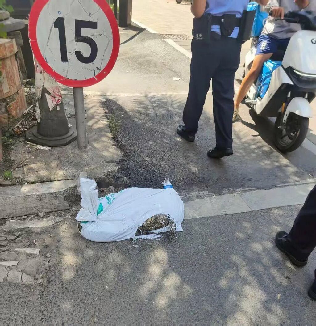 跑腿小哥送鳄鱼，半路竟然活了！活体运输违法吗？-1.jpg