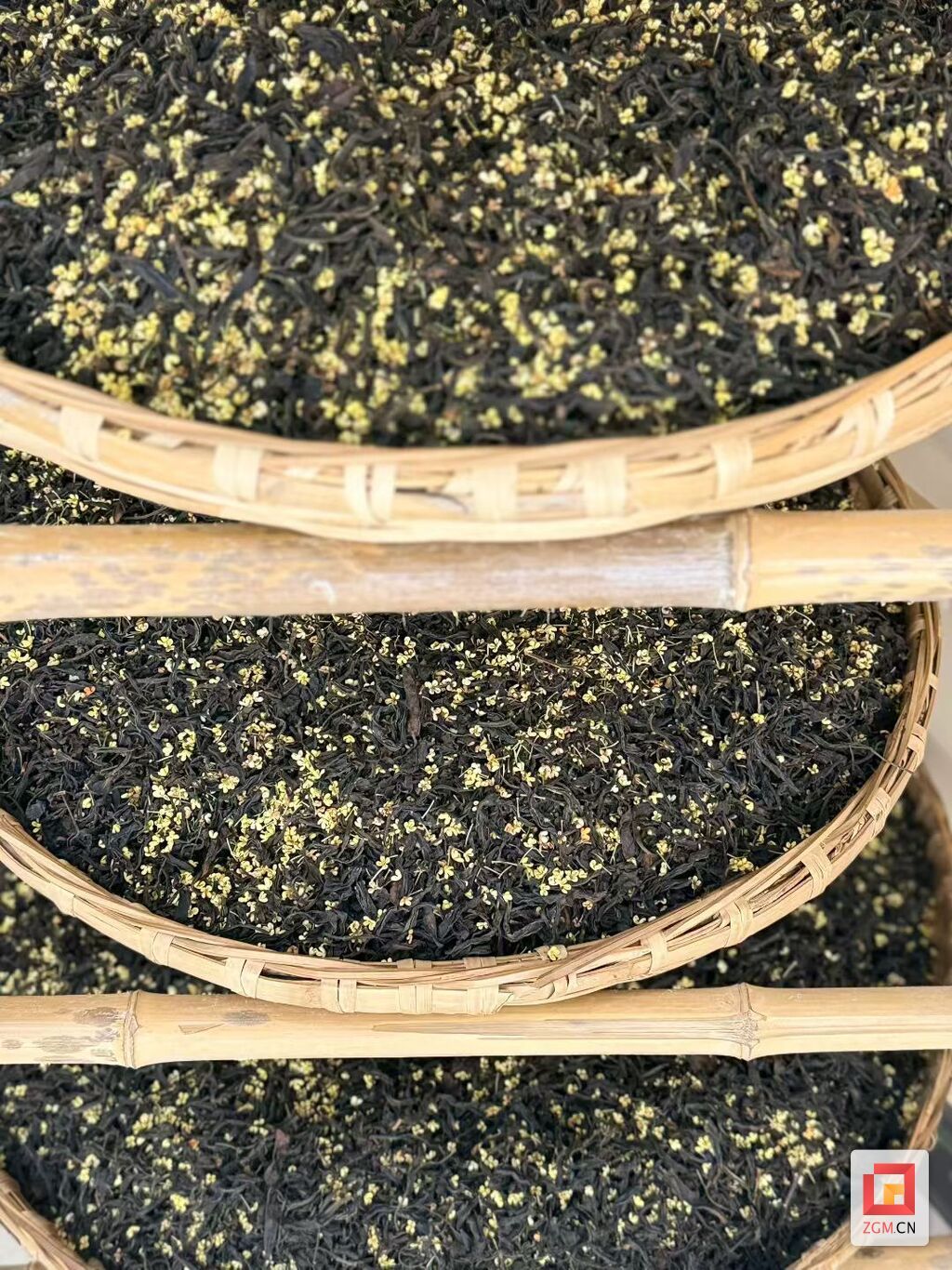【魅力盐都】荣州大地桂花馥郁 手工花茶颇受青睐-4.jpg