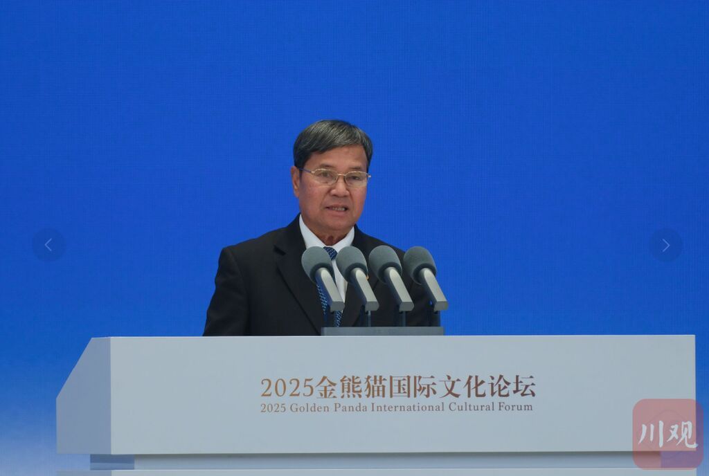 2025金熊猫国际文化论坛上嘉宾热议——让不同文明因“金熊猫”交相辉映-6.jpg