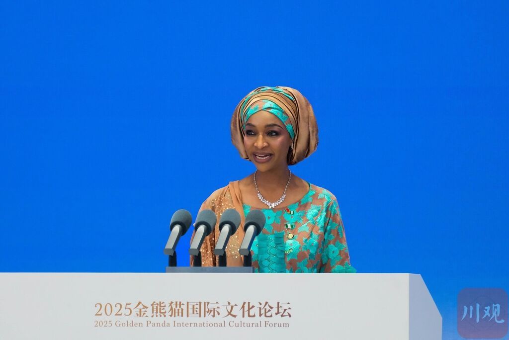 2025金熊猫国际文化论坛上嘉宾热议——让不同文明因“金熊猫”交相辉映-5.jpg