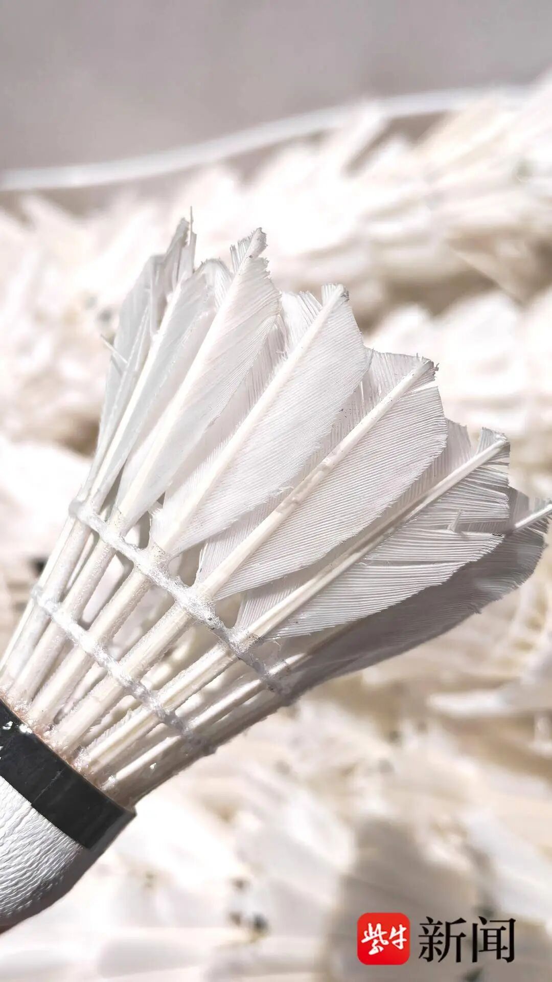 两年涨幅100%，3桶羽毛球赶上1克黄金！羽毛球爱好者：现在能继续用就用-2.jpg