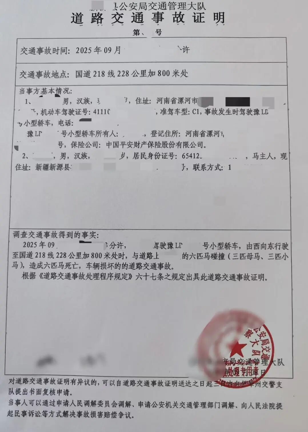 游客自驾游撞死6匹马，牧民提出赔4.5万元，司机：车没商业险要自费修车-4.jpg