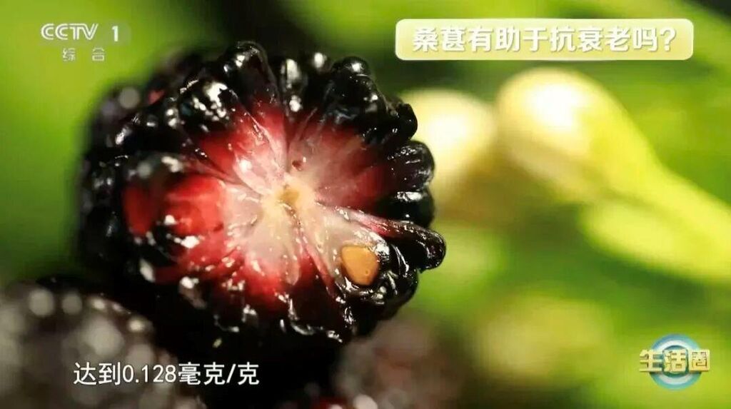 叶子也是宝、血压血糖都受益 秋冬多吃这种水果-4.jpg