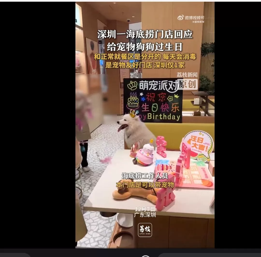 广东深圳一海底捞回应给宠物狗过生日：这是宠物友好门店-1.webp