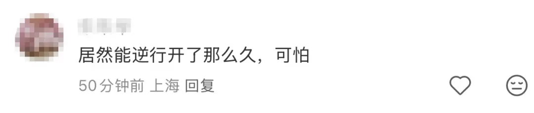 男子高架开车逆行17公里，隧道飙到72公里/小时：导航叫我这么开的！法院：判刑3年-4.webp