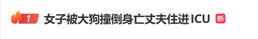 女子骑行被未拴绳大狗撞倒身亡，5个月后丈夫突发脑溢血进ICU……警方介入-1.webp