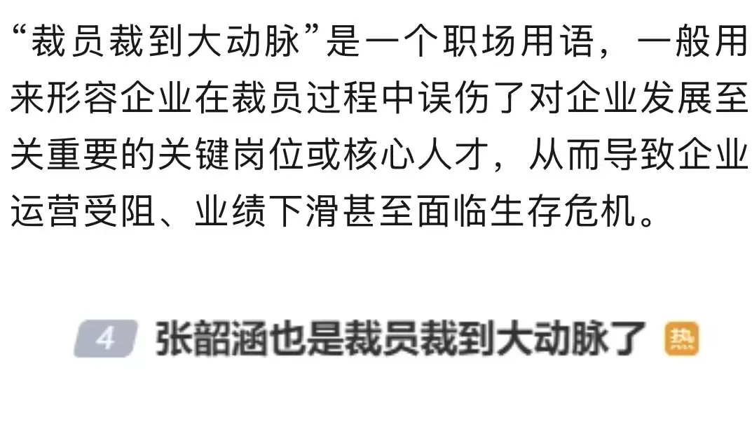裁员裁到大动脉？歌手张韶涵演唱会造型被吐槽“翻车”！前发型师：希望大家多一点温度-1.webp