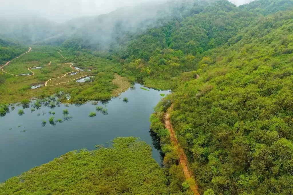 af38af5e6e2d88dca34a8f9b1741d81b.webp.webp