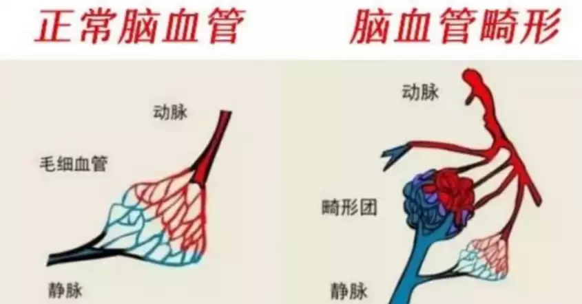 69fec10fe1a57.png.webp