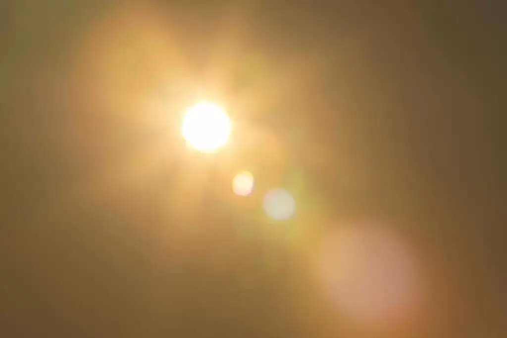 69fec1a507480.webp.webp