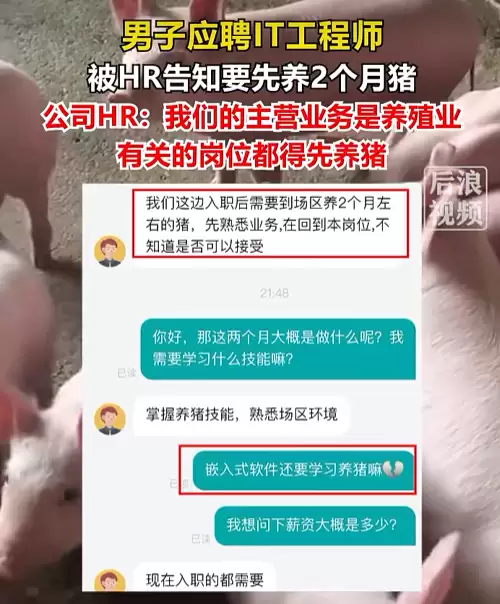 男子应聘程序员岗位，被要求先养两个月猪？HR回应