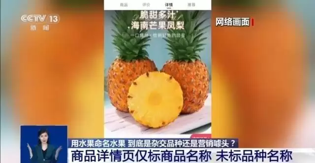2be5546fdf3e0c30f4ec554d8755cd18.webp.webp