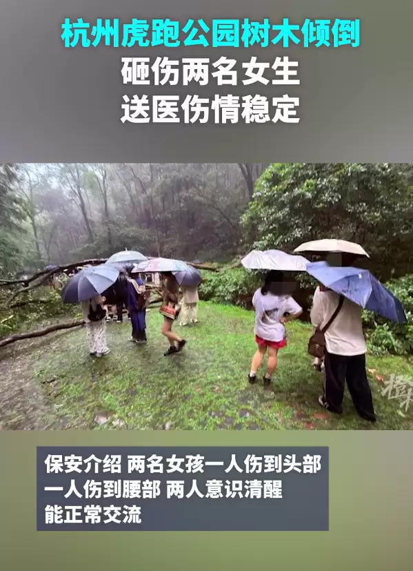 cce3c61bc12aea260c77aeafafa407f6.png.webp
