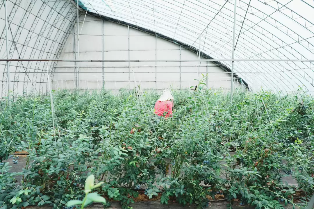 6a17d2581356d.png.webp