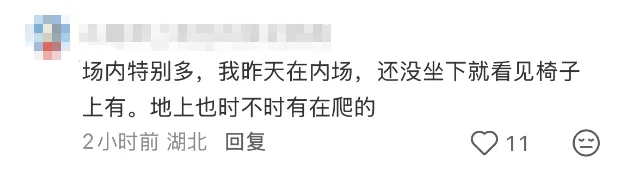 6a1d224e85215.png.webp