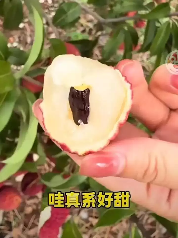 6a1e65c150313.webp.webp