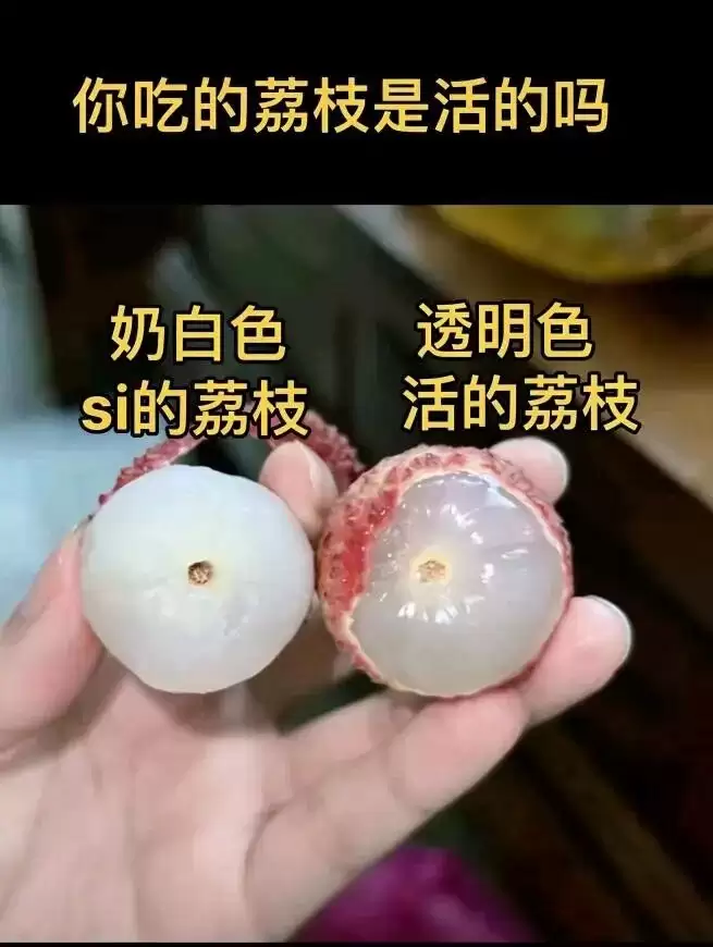 6a1e65c1502b8.jpeg.webp