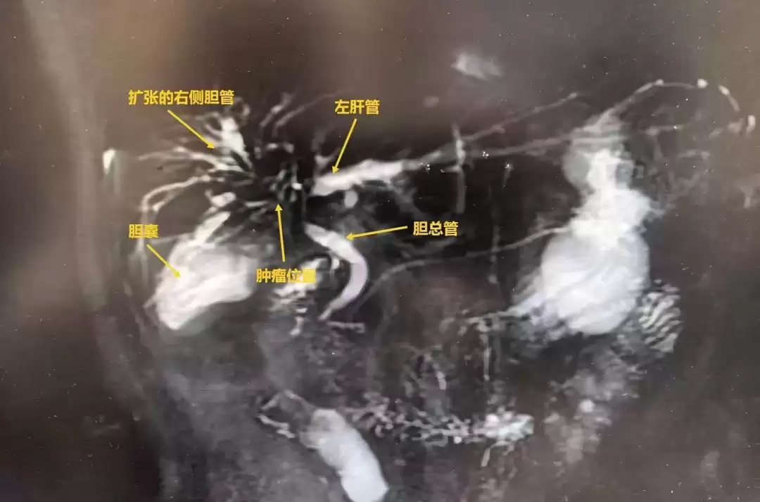 6a1e678e7a526.png.webp
