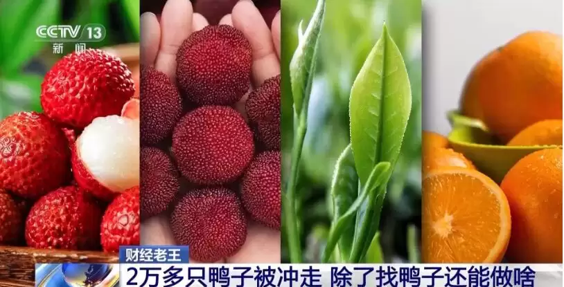 a81a6afbed7b766a52a212808c2f7b83.webp.webp